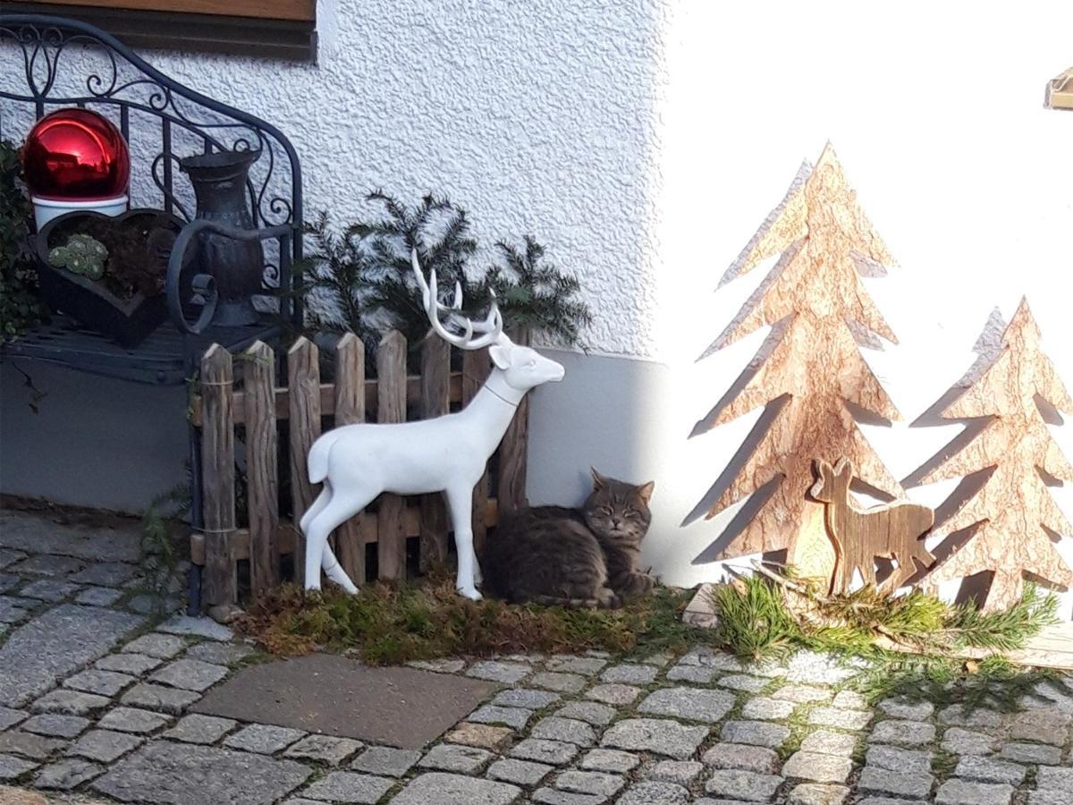 Apartmán Feichtlhof Taching am See Exteriér fotografie